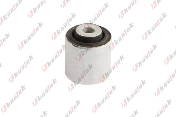 Mounting, control/trailing arm (BM-BS166)