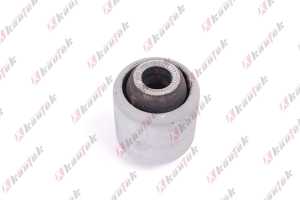 Mounting, control/trailing arm (BM-BS065)