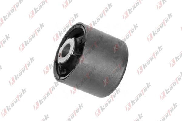 Bushing, axle bracket (BM-BS010)