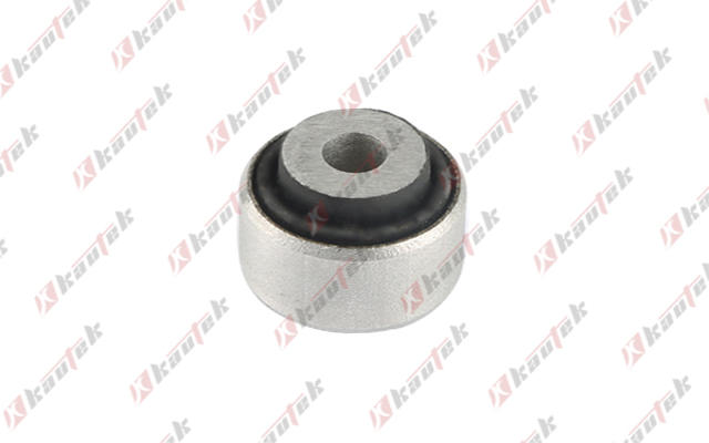 Mounting, control/trailing arm (AU-BS130)