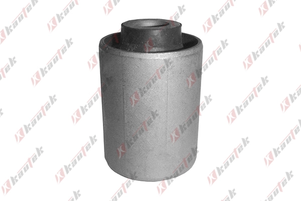Mounting, control/trailing arm (AU-BS043)