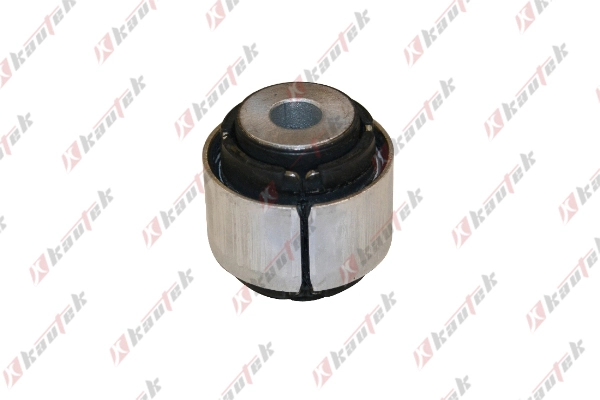 Mounting, control/trailing arm (BM-BS096)