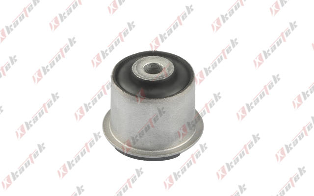 Mounting, control/trailing arm (TS-BS011)