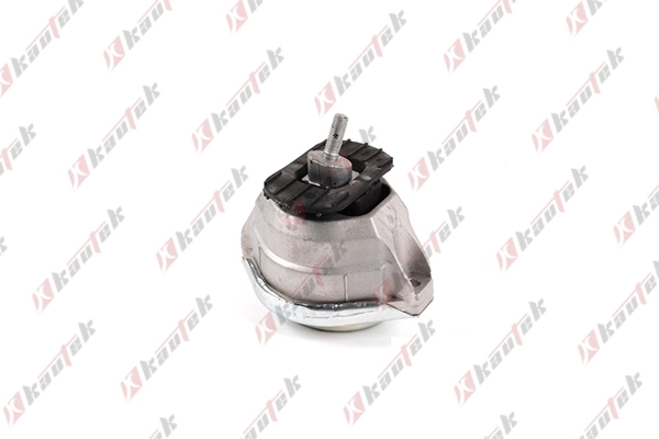 Mounting, engine (BM-EM010)