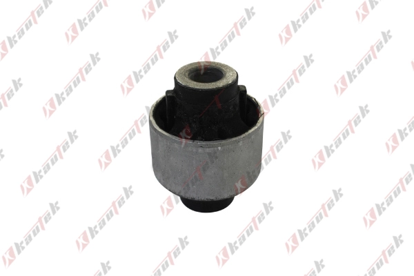 Mounting, control/trailing arm (PE-BS081)