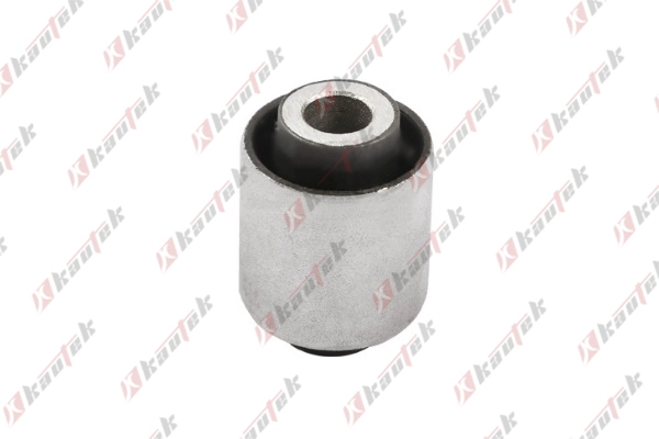 Mounting, control/trailing arm (MI-BS052)