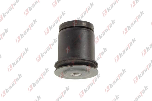 Bushing, axle bracket (FI-BS009)
