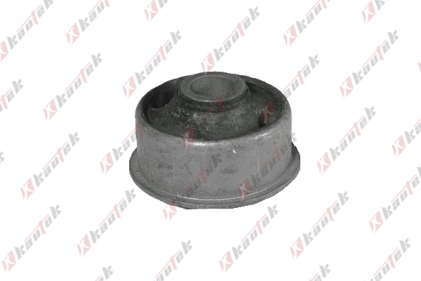 Mounting, control/trailing arm (VW-BS011)