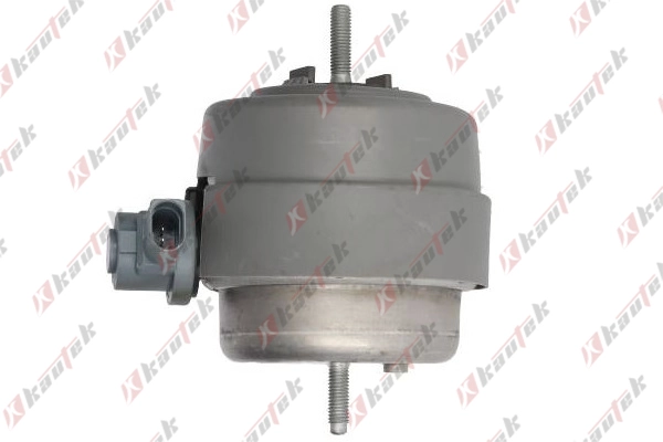 Mounting, engine (AU-EM053)