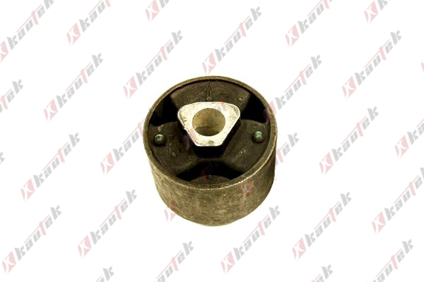 Mounting, control/trailing arm (BM-BS038)