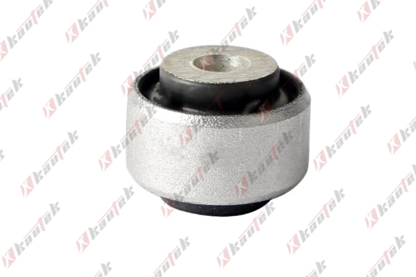 Mounting, control/trailing arm (AU-BS100)