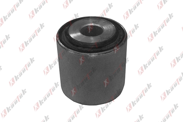 Mounting, control/trailing arm (BM-BS054)