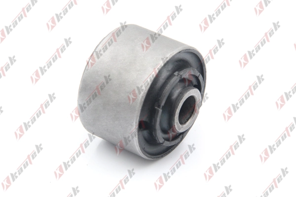 Mounting, control/trailing arm (MI-BS044)