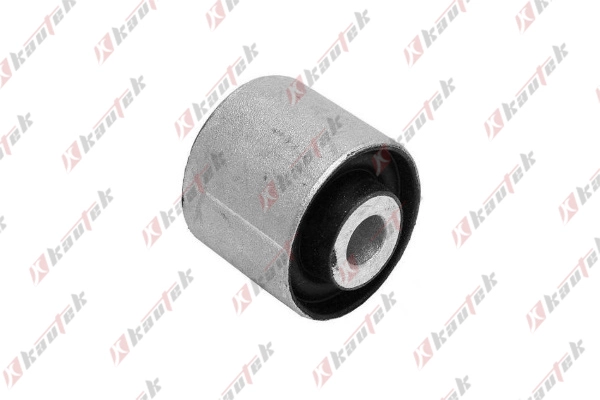 Mounting, control/trailing arm (AU-BS095)