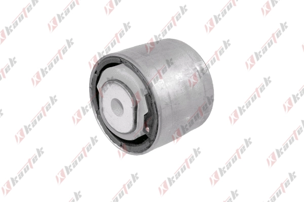 Mounting, control/trailing arm (JG-BS003)