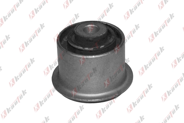 Mounting, control/trailing arm (AU-BS018)