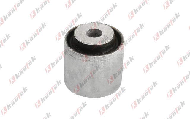 Mounting, control/trailing arm (FI-BS128)