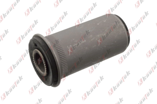 Mounting, control/trailing arm (MI-BS043)