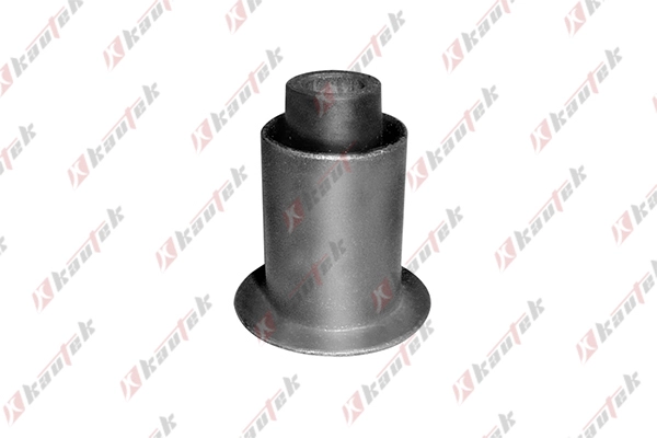 Mounting, control/trailing arm (FI-BS007)