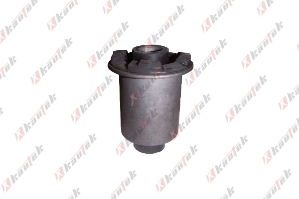 Mounting, control/trailing arm (DH-BS005)