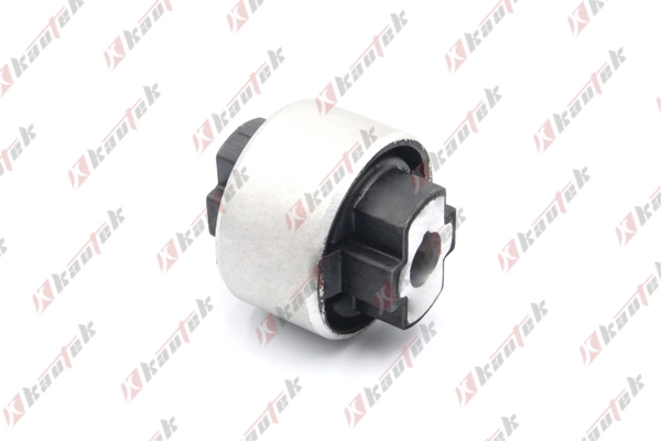 Mounting, control/trailing arm (FI-BS028)