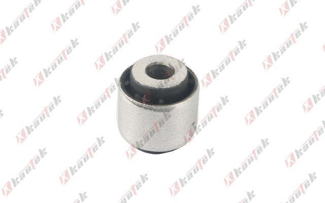 Mounting, control/trailing arm (BM-BS195)