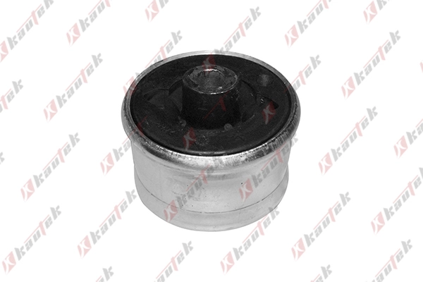 Mounting, control/trailing arm (FD-BS043)