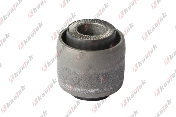 Mounting, control/trailing arm (FD-BS168)