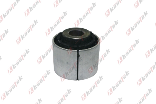 Mounting, control/trailing arm (BM-BS106)