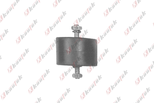 Mounting, engine (FI-EM001)