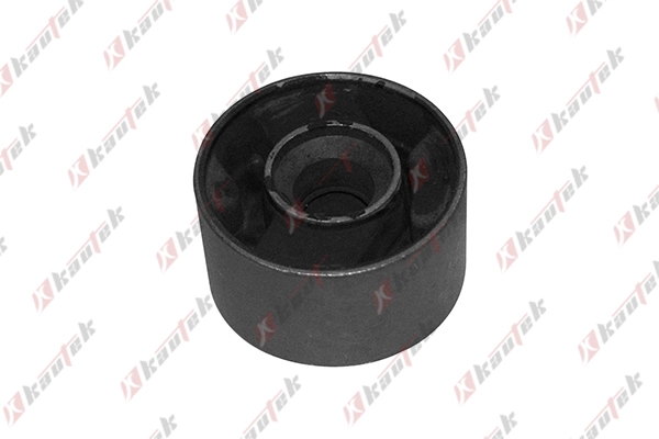 Mounting, control/trailing arm (BM-BS021)