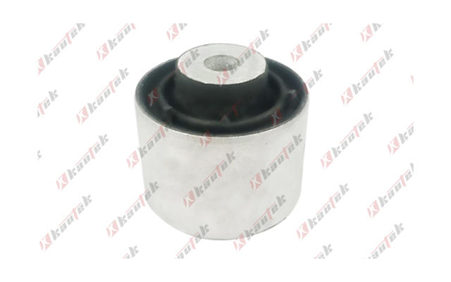 Mounting, control/trailing arm (TS-BS004)