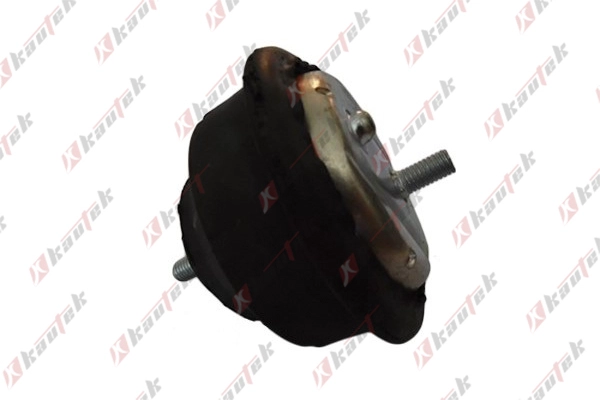 Mounting, engine (BM-EM003)