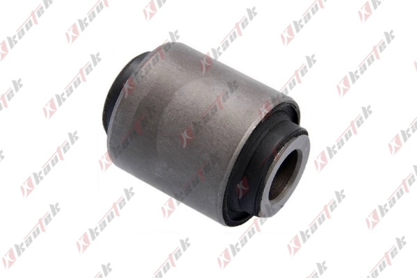 Mounting, control/trailing arm (NI-BS151)