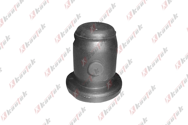 Mounting, control/trailing arm (NI-BS009)
