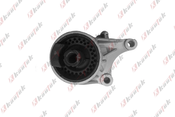 Mounting, engine (OP-EM014)
