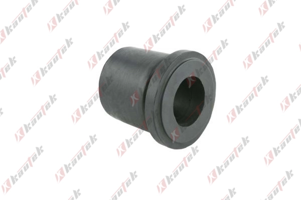 Mounting, leaf spring (NI-BS089)