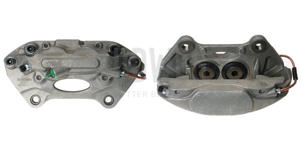Brake Caliper (394989)