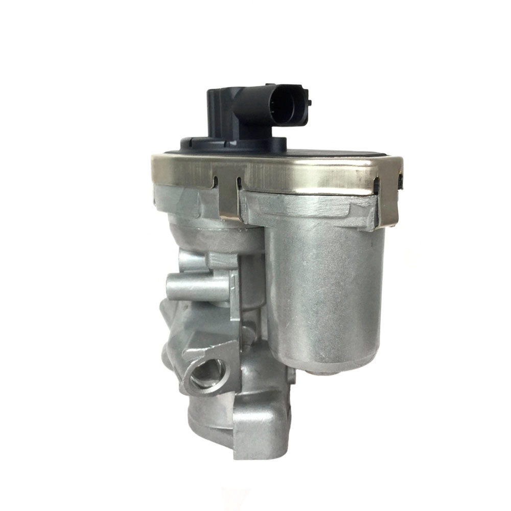 EGR valve, exhaust control