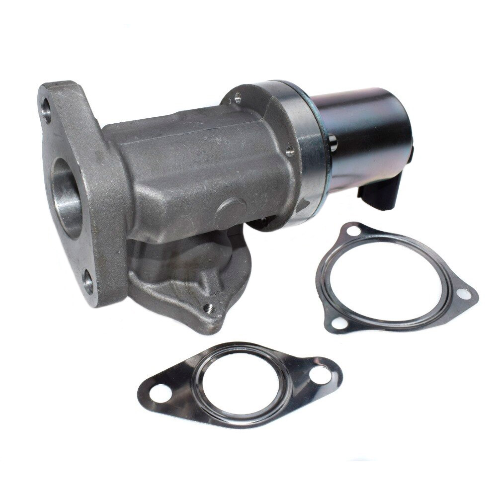 EGR valve, exhaust control