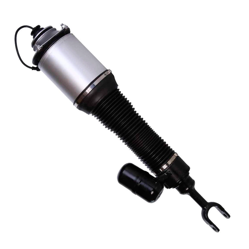 Suspension Strut (CSMCR00304)