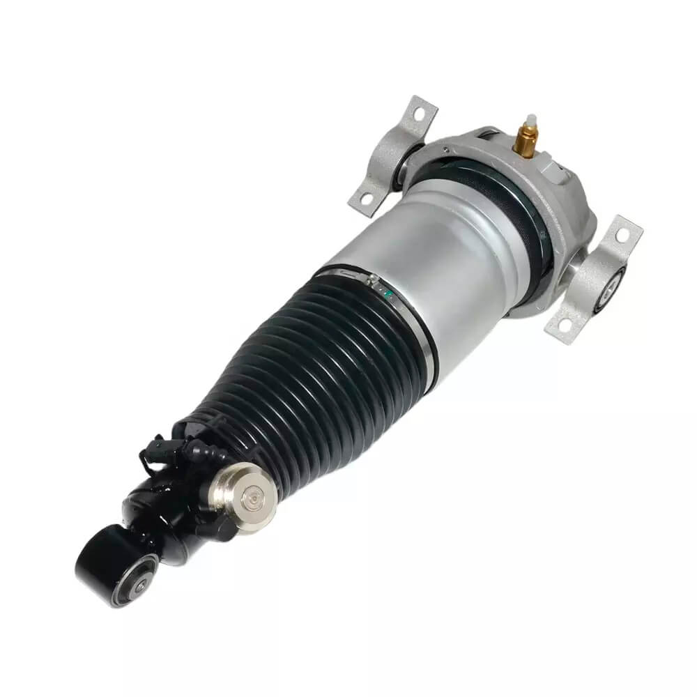 Suspension Strut (CSMCR01059)