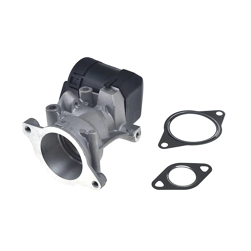 EGR valve, exhaust control