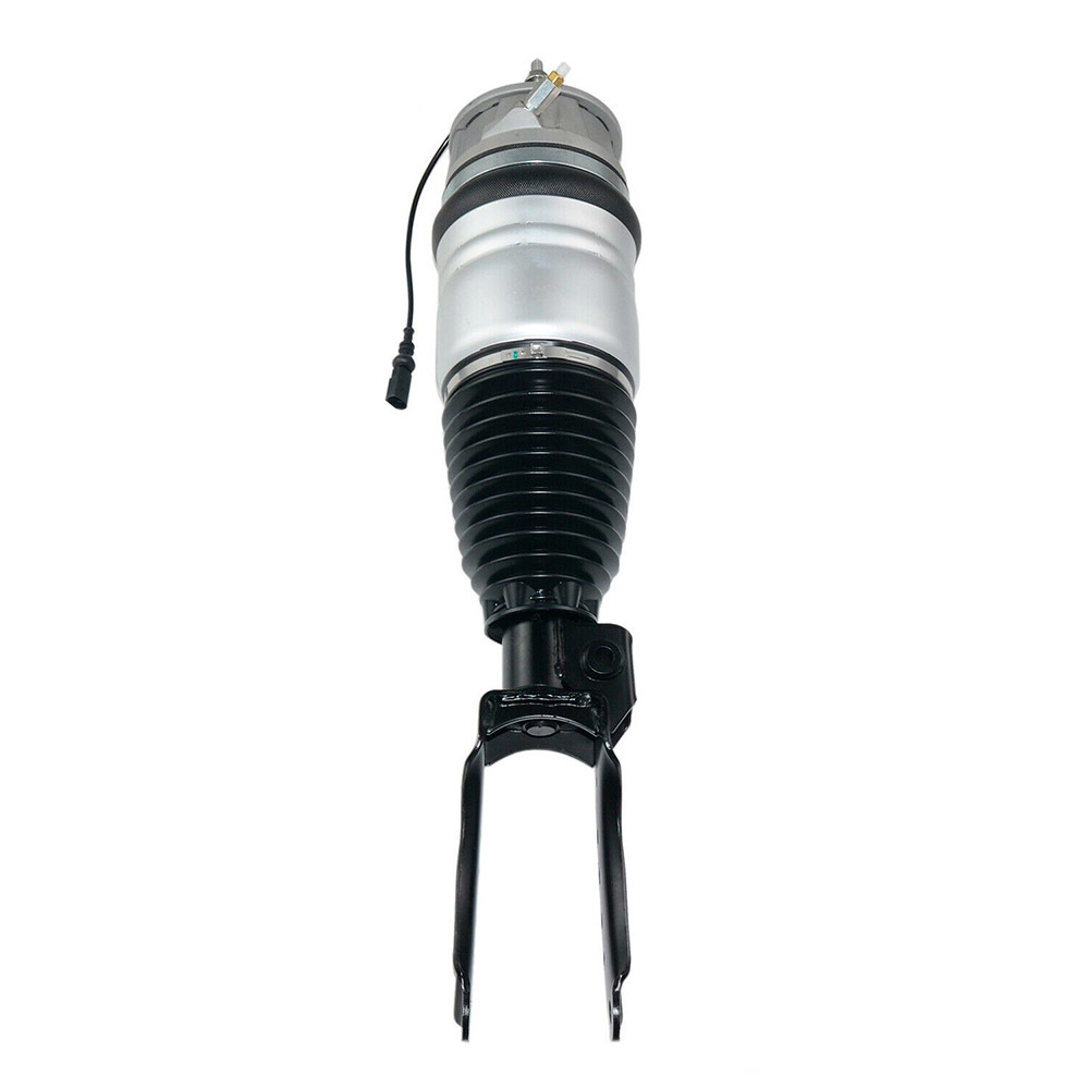 Suspension Strut (CSMCR00798)