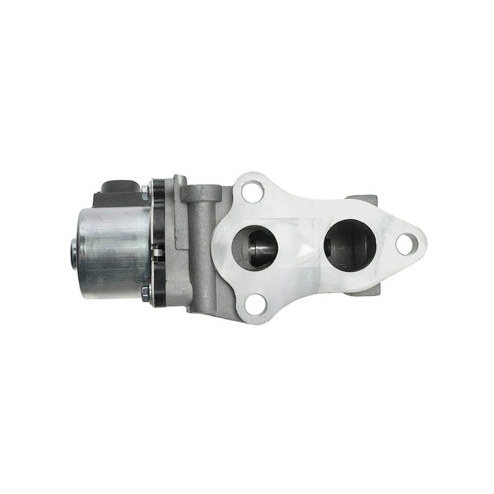 EGR valve, exhaust control
