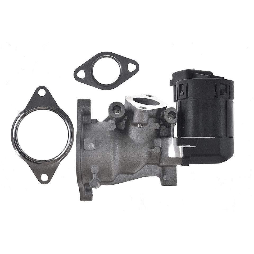 EGR valve, exhaust control