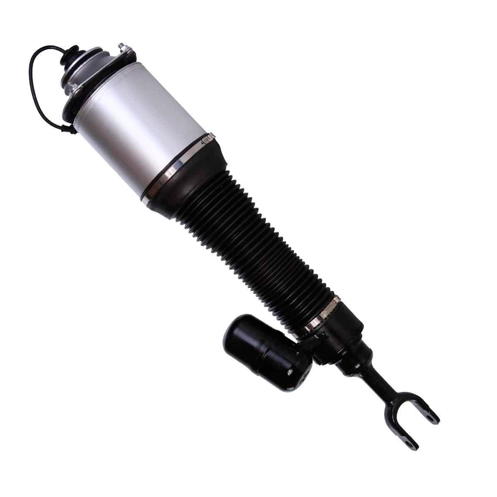 Suspension Strut (CSMCR00770)