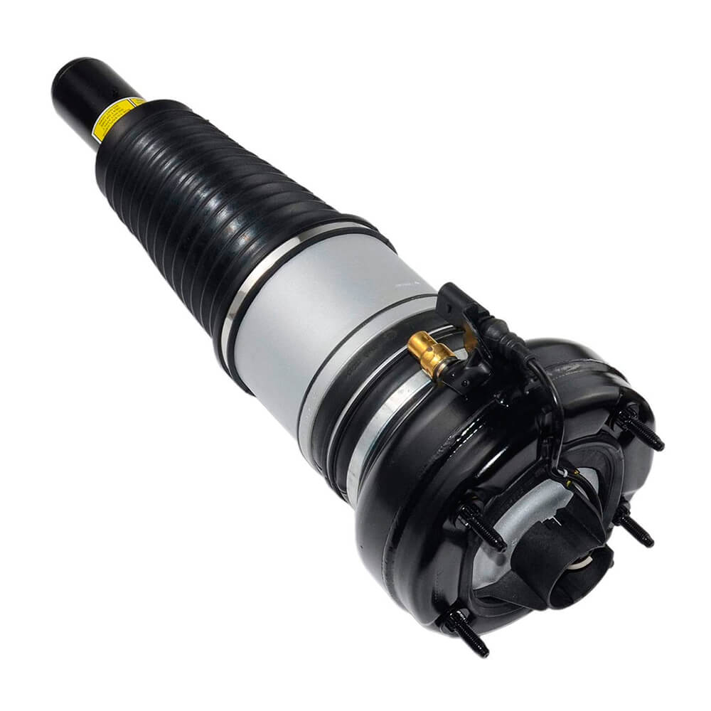Suspension Strut (CSMCR00900)