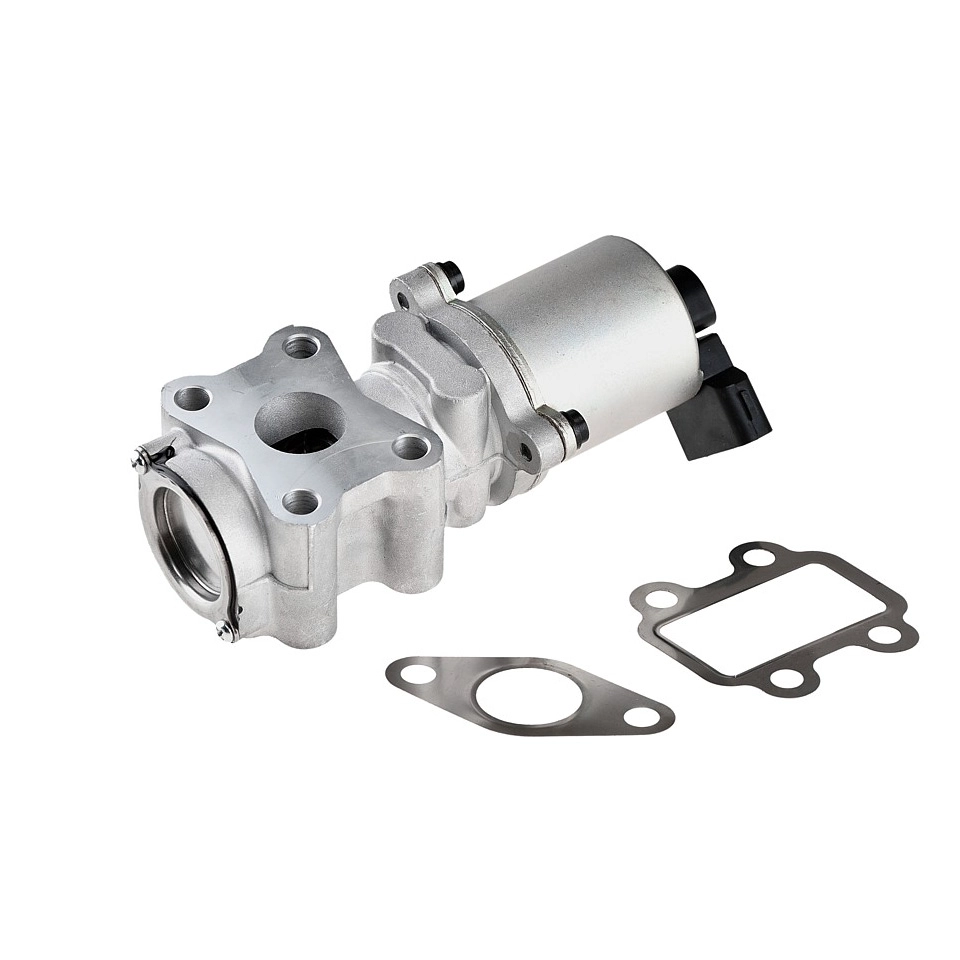 EGR valve, exhaust control