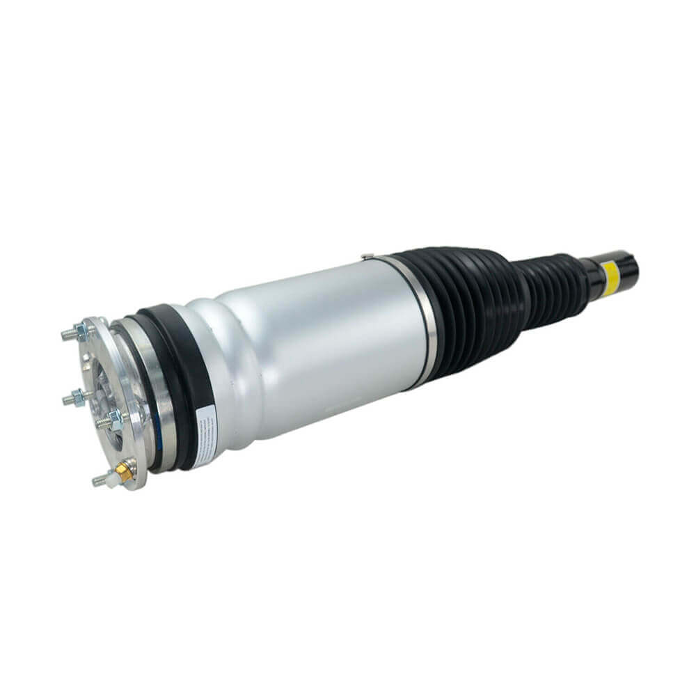 Suspension Strut (CSMCR01001)